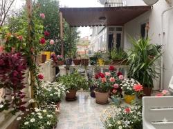 2+1 Ground Floor Apartment In Özdere Çukuraltı Region, 150 Meters From The Sea!!!!